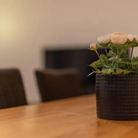 Apartment Jasminkas Host 2, Ruhig, Und Naturnah, Gratis Parkplatz Und Balkon St. Gallen
